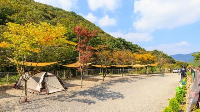 “경주에서 30km 떨어졌다고?”… 산속에서 별 쏟아지는 힐링 명소