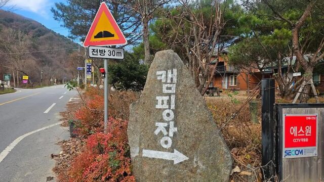 “서울에서 1시간 30분이라니, 진짜 가까워요”… 3,000㎡ 넓은 캠핑 명소
