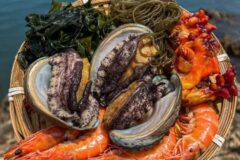고급스러운 존재감이 가득한 바다의 인삼! 전국 전복 요리 맛집 5곳