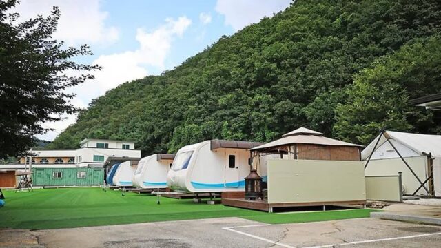 “50km 거리 이렇게 가까울 줄은 몰랐어요”… 반려견과 떠나는 포천 자연 명소