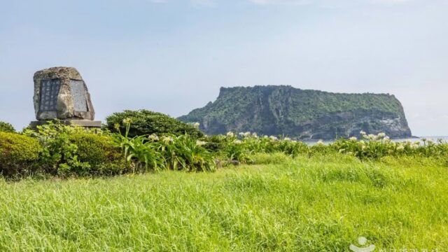 제주 성산포JC공원 숙소, 가을 여행 최적지