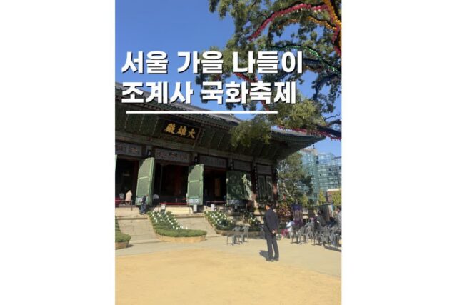 서울사찰 조계사 국화화엄축제 종로 절가을 나들이 후기