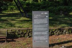 제주 산천단곰솔 가볼만한곳, 천연기념물의 특별한 매력