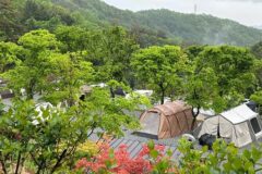 “30,000평에서 자연과 소곤소곤 할 수 있다니”… 가족과 함께하는 힐링 캠핑 명소