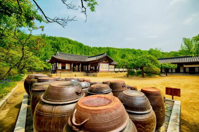 용인시 친구와 여행 코스 BEST 6 — 2026 가을 맞이 가이드