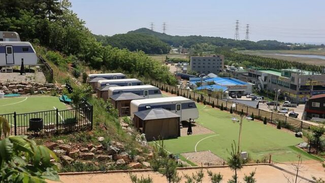 “10,000㎡ 캠핑장이 이렇게 펼쳐진다고?”… 서해의 자연 속 하버드카라반 명소