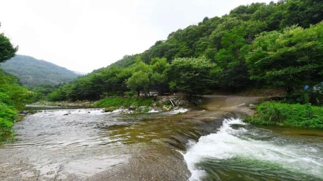 경기 천진암계곡 축제, 가을 단풍 여행 추천 명소