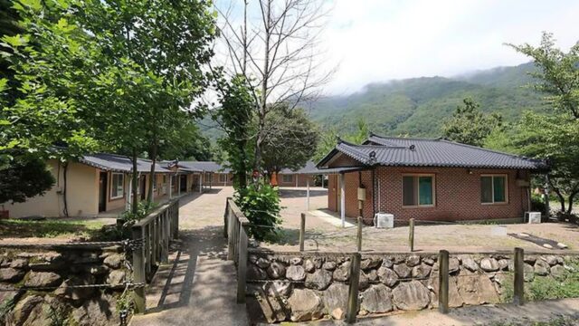 “라니, 이렇게 싱그러운 공기라니?”… 설악산 동쪽 끝 100만 평 캠핑 명소