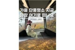 가을 단풍명소 평창 모나용평리조트 발왕산 케이블카 패키지