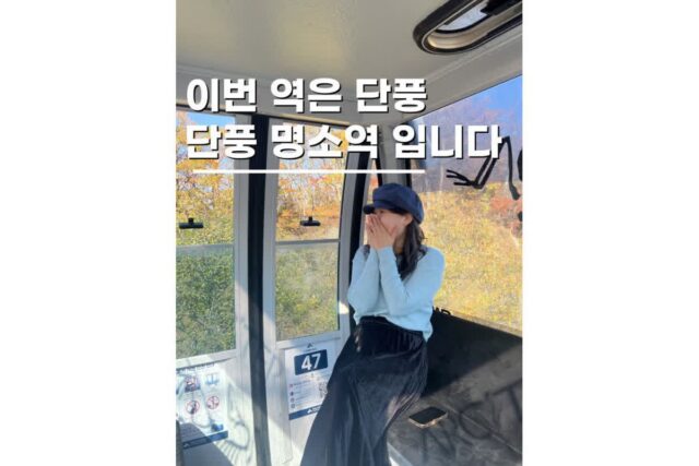 가을 단풍명소 강원도 평창 발왕산 관광케이블카 스카이워크 실시간