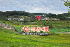 가을 국내 여행 | 영월 여행 청령포 옆 영월관광센터