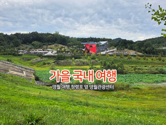 가을 국내 여행 | 영월 여행 청령포 옆 영월관광센터