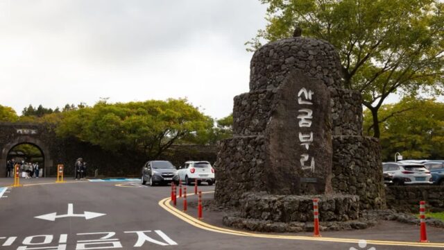 제주 산굼부리 숙소, 가을 여행 예약 전 확인할 포인트