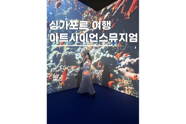 싱가포르 자유여행 아이랑 가볼만한곳 팀랩 퓨처 월드 아트사이언스뮤지엄
