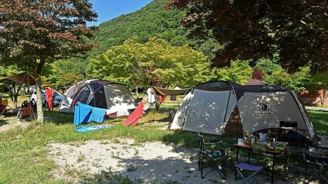 “반려동물과 함께 캠핑할 수 있다고?”… 1만 평 초록 잔디 펼쳐진 달궁야영장