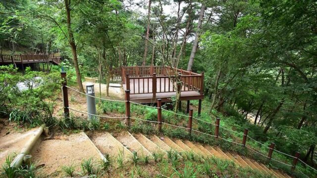 “50,000㎡에 이런 자연이라니!”… 한국문화 체험 캠핑 명소