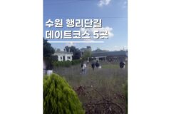 수원이색데이트코스 행궁동 가볼만한곳 5곳