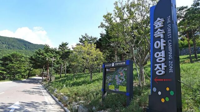 “20,000㎡ 속에 이런 비밀이?”…한방과 자연의 조화 느끼는 힐링 명소