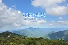 지리산 국립공원 초보자 등산 지리산 노고단 코스