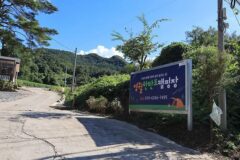 “영월에서 캠핑하니 이렇게 상쾌할 수가!”… 아침 햇살과 새소리 속 0원 캠핑 명소