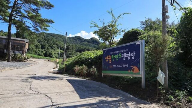 “영월에서 캠핑하니 이렇게 상쾌할 수가!”… 아침 햇살과 새소리 속 0원 캠핑 명소
