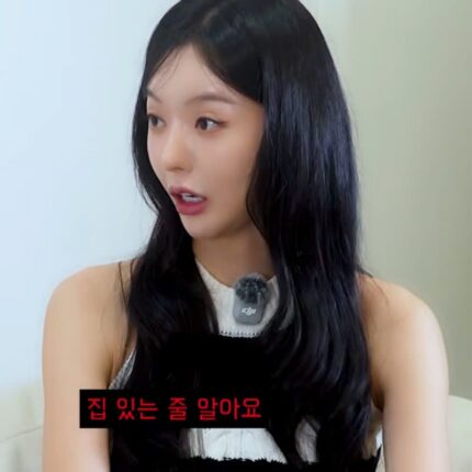 군통령 달샤벳도 집 못 샀다? 걸그룹 실제 수입 어떻길래