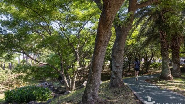 제주 신산공원 축제, 자연과 문화 체험의 조화로운 공간