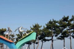강원 동산해수욕장 숙소, 자연과 바다가 어우러진 휴식