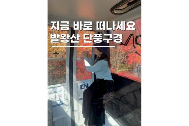가을 단풍명소 케이블카 강원도 평창 가볼만한곳 모나용평 리조트 후기