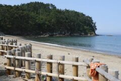충남 의항해수욕장 가을 축제, 무료 입장과 주차 정보