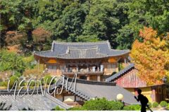 영주 가볼만한 곳 부석사, 가을 단풍과 은행나무길 숨은 사진 명소