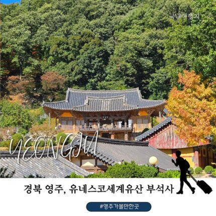 영주 가볼만한 곳 부석사, 가을 단풍과 은행나무길 숨은 사진 명소