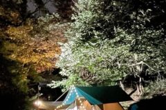 “50만㎡ 숲속에 반달곰이 살았다니”… 자연 그대로의 공간에서 힐링 여행지