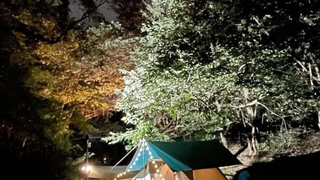 “50만㎡ 숲속에 반달곰이 살았다니”… 자연 그대로의 공간에서 힐링 여행지