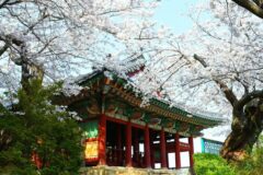 경포대 커플 숙소 2026 추천 5곳 이용 가이드