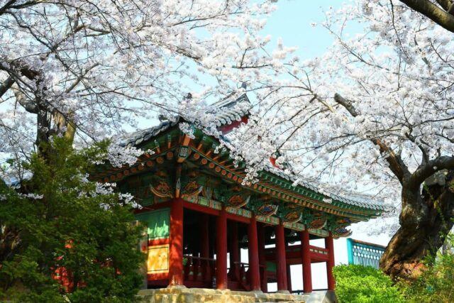 경포대 커플 숙소 2026 추천 5곳 이용 가이드