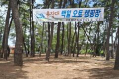 “50여 개 사이트가 이렇게 넓게 펼쳐져요”… 바다와 숲 어우러진 이색 캠핑 명소