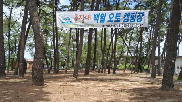 “50여 개 사이트가 이렇게 넓게 펼쳐져요”… 바다와 숲 어우러진 이색 캠핑 명소