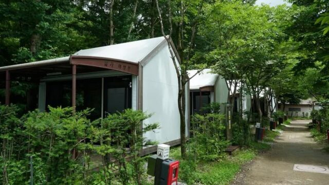 “이런 곳이 있다니…” 소백산 비로봉 아래 캠핑 명소