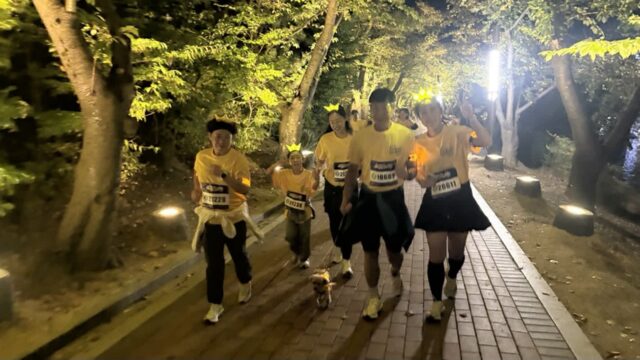 [르포]소노캄 경주에서는 반려견도 ‘러닝’한다