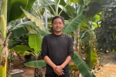 [청년, 내 일]’경기도산’ 파파야는 이렇게 탄생했다