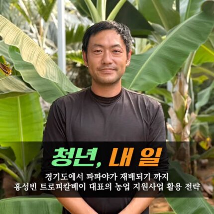 [카드뉴스]수도권서 연 20톤 파파야 일구는 청년 농부