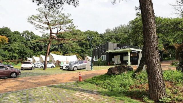 경기 워크 안산 BBQ 체험, 숲속 프리미엄 바베큐장