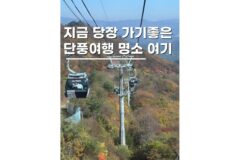 평창 가볼만한곳 발왕산 케이블카 기스카이워크 실시간 단풍