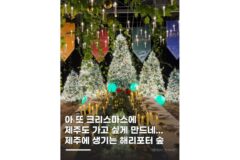 제주겨울여행 가볼만한곳 서귀포 보롬왓 크리스마스 팝업 오픈