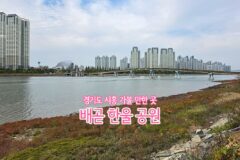서울근교 여행 경기도 시흥 가볼 만한 곳 배곧 한울 공원
