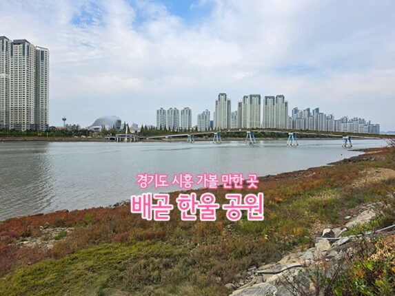 서울근교 여행 경기도 시흥 가볼 만한 곳 배곧 한울 공원