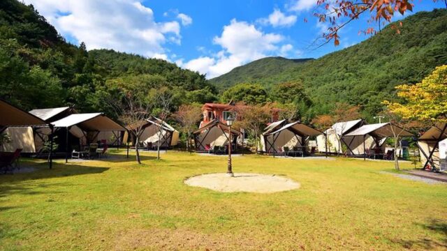 “시간도 천천히 흐른다니?”… 1박 2일 자연 속 힐링 글램핑 명소