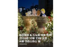 크리스마스명소 갈만한곳 서울 제이닷트리 팝업 정보 해리포터 스누피
