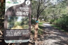 대구 마천산산림욕장 축제, 자연 속 힐링 여행